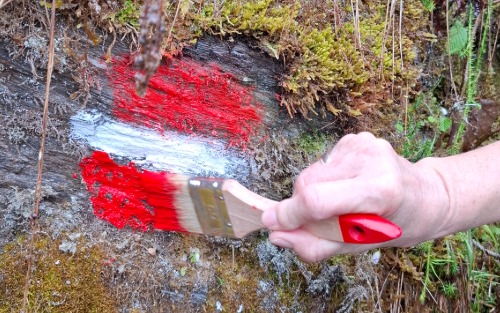 Z´sommkema & Z´sommrama