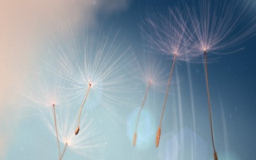 Nachmittag der offenen Tür in der 