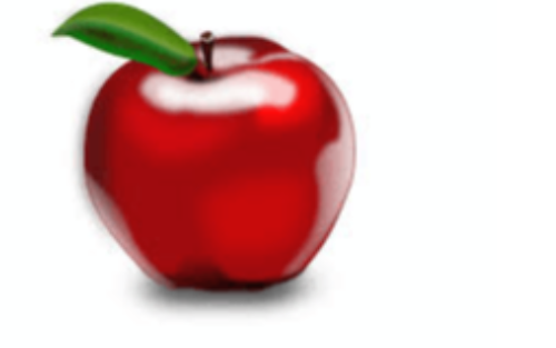 UMFRAGE ZU STREUOBSTWIESEN - VEREIN WIESENINITIATIVE