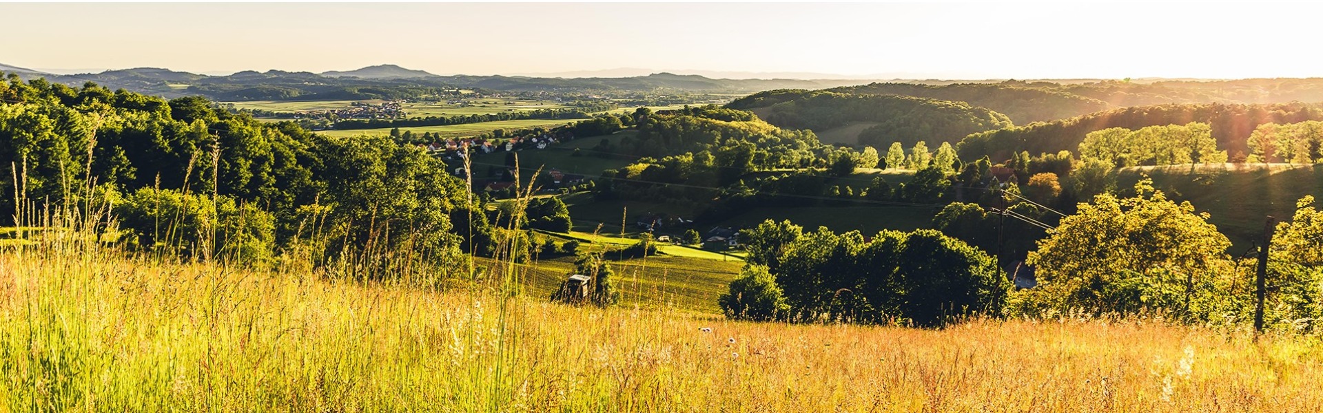 Foto (c) Sebastian Friedl