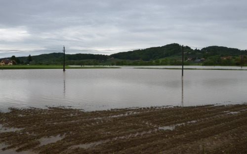 Vortrag Hochwasser