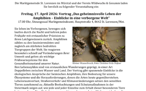 Vortrag „Das geheimnisvolle Leben der Amphibien – Einblicke in eine verborgene Welt“