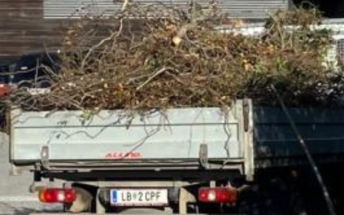 Strauchschnittentsorgung