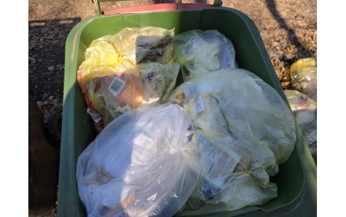 Richtige Mülltrennung