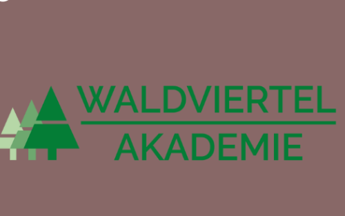 Aliosha Biz in der Alten Schmiede Schönberg