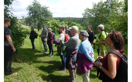 Geführte geologisch-botanische Buchkogelwanderung