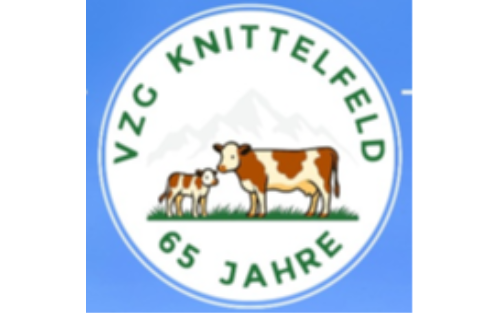 Jubiläumsrinderschau der Viehzuchtgenossenschaft Knittelfeld