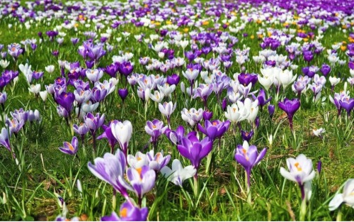 ACHTUNG TERMINÄNDERUNG !!! 