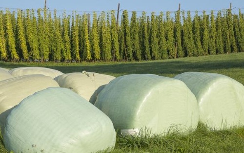 Silofolienentsorgung bei der Reithalle Schöder