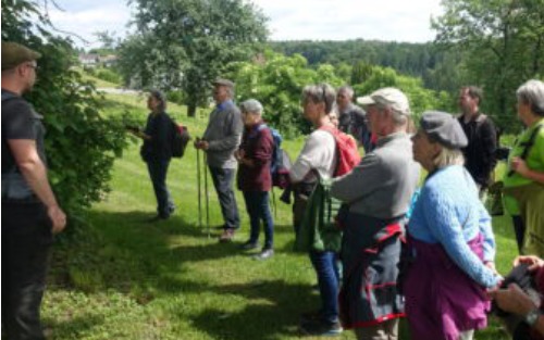Geologisch-botanische Buchkogelwanderung