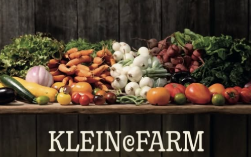 Bio-Jungpflanzentage