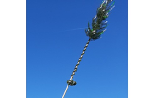 Hoffest mit Maibaumumschneiden