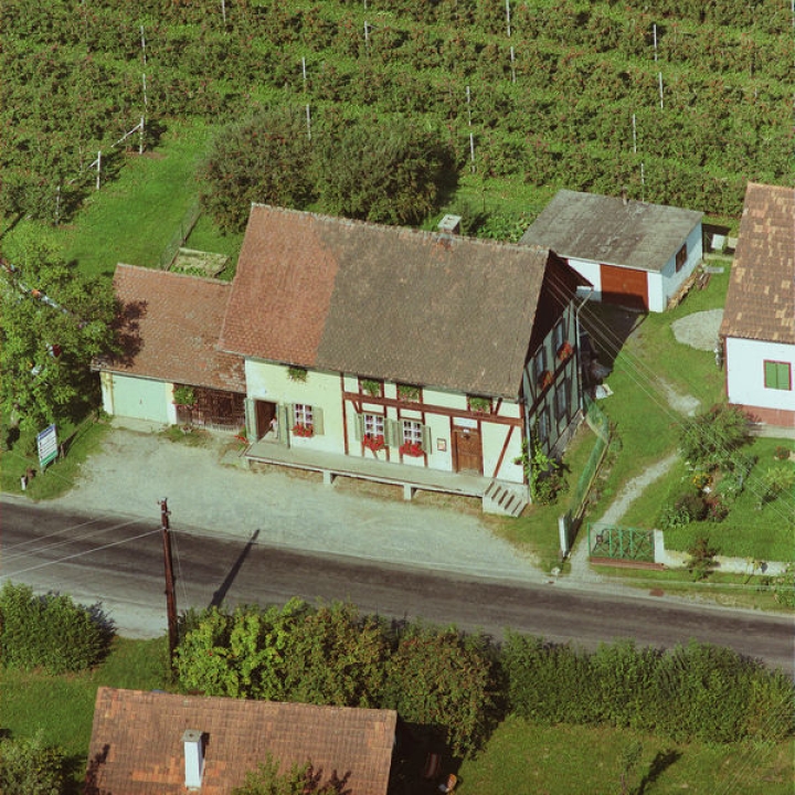 altes_31