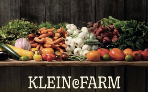 Bio-Jungpflanzentage