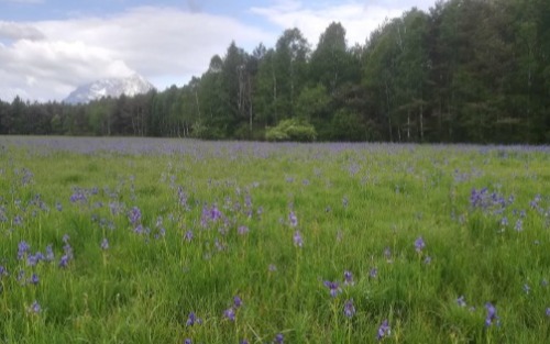 Tag der Berg- und Naturwacht