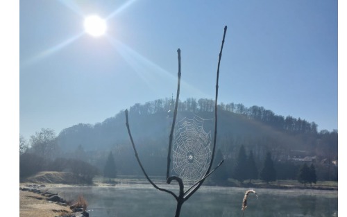 Gemeinde-Aktion: Badesee-Saisonkarten