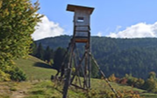 Berufsjägerprüfung 2026