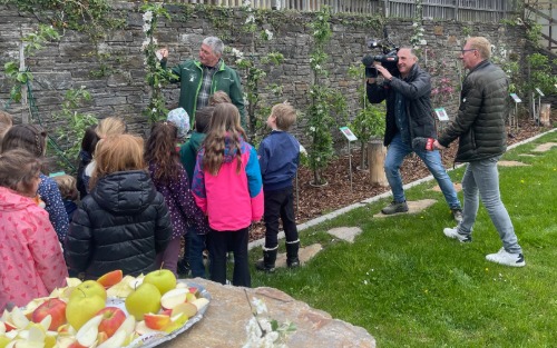 ORF-Wetter aus St. Nikolai i. S.