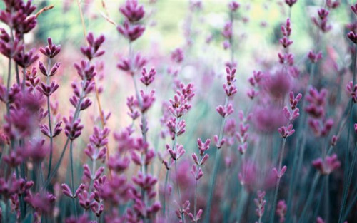 Neuigkeiten vom Naturpark Raab - Veranstaltungen Mai 2026