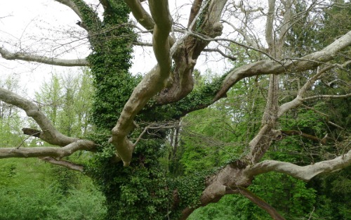 Natur erleben bei einem Wald- und Wiesenspaziergang