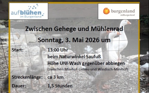 Zwischen Gehege und Wasserrad