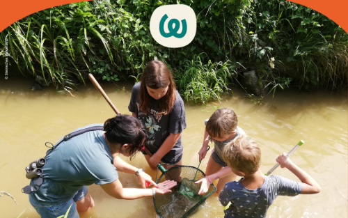 Wie wär’s mit Berufsorientierung in den Ferien? 🌞 Ferienbetreuung leicht gefunden!