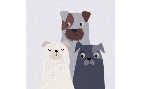 Leinenpflicht - Hundekot ordnungsgemäß entsorgen