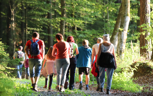 Mühlenwanderung