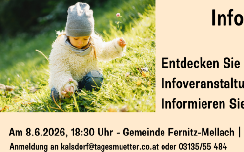 Info-Veranstaltung Tagesmütter/Väter