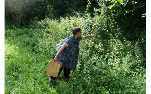 Kräuterwanderung „Sommerkräuter“