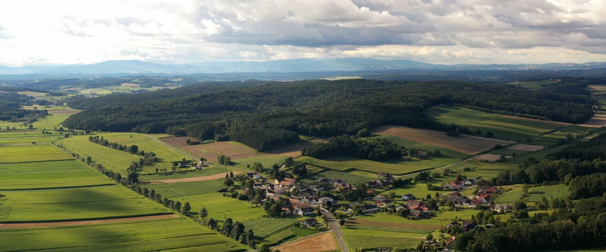 Unser Rehgraben.
