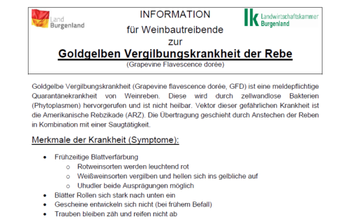 Wichtige Information für alle Besitzer von Rebstöcken (Edeltrauben, Uhudler, PIWI)