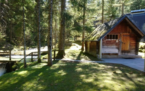 Öffnungszeiten Waldsauna Juli/August 2026