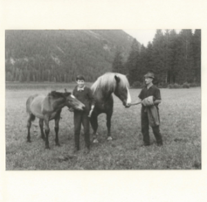 pferd.png