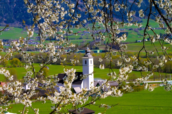 Fotowettbewerb Niederhofen Frühling Karin Wiesler19 (12)