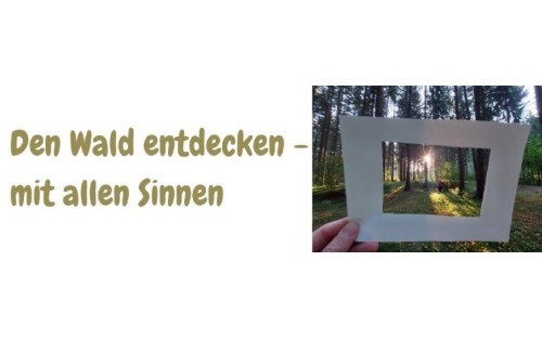 Den Wald entdecken - mit allen Sinnen