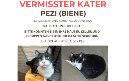 Vermisster Kater - schwarz/weiß
