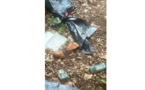 Der Wald ist kein Mülleimer