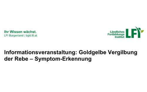 Schulungen zur Symptom-Erkennung der Goldgelben Vergilbung