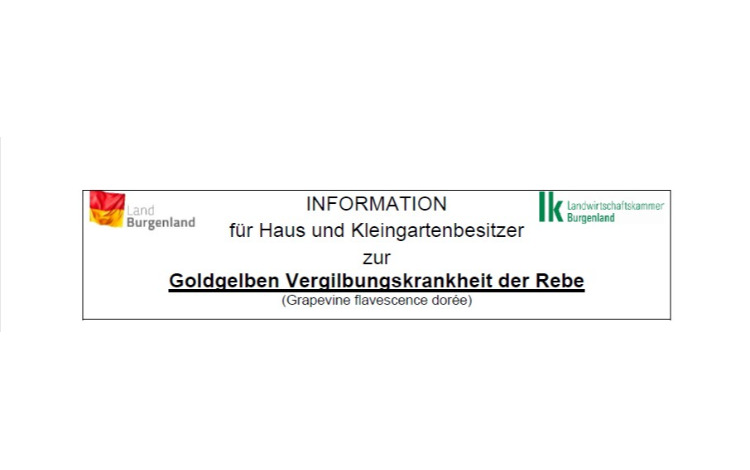 Information für Haus und Kleingartenbesitzer zur Goldgelben Vergilbungskrankheit der Rebe