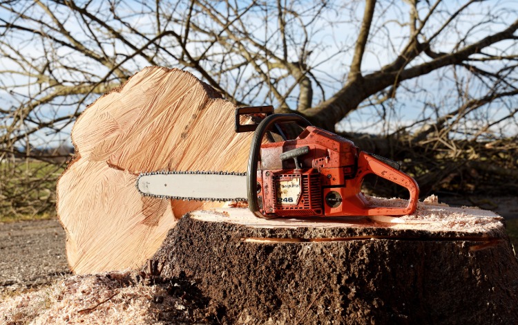 Holzschlägerungsarbeiten GW Hundsdorf