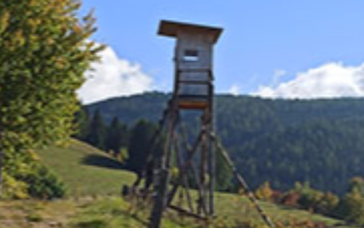 Jagdpachtschilling St. Margarethen bei Knittelfeld