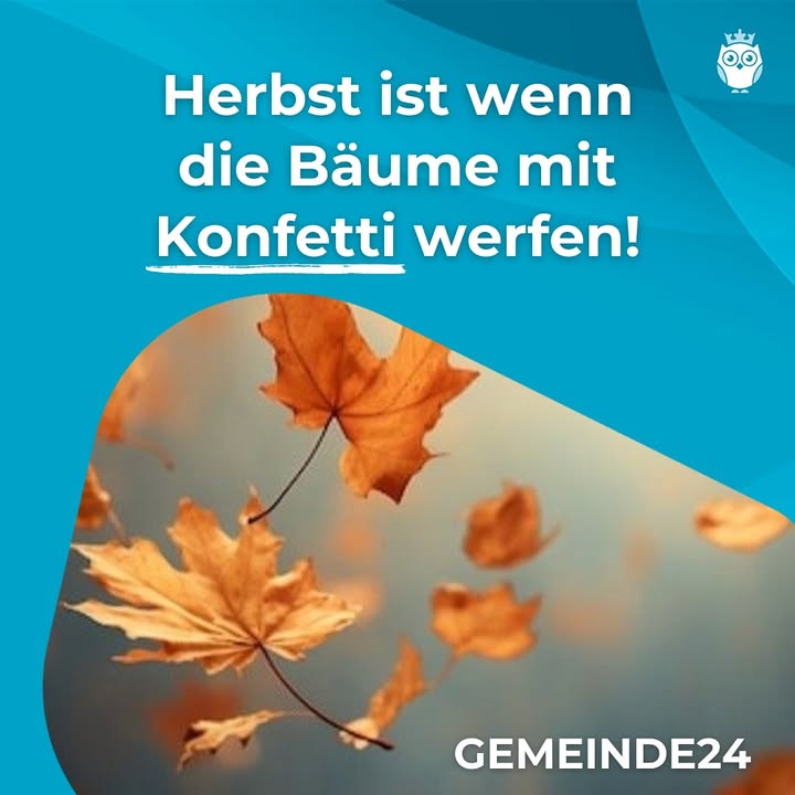 So bunt wie der Herbst 🍂 sind auch die Informationen 📲 auf Gemeinde24! 🤗 Ob Veranstaltungen, Neuigkeiten, Vereinsinfos …