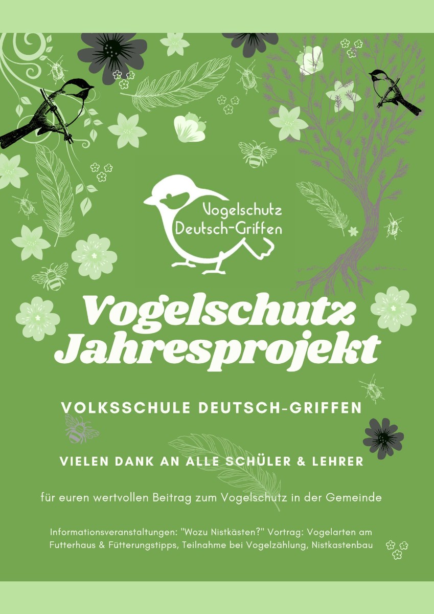 Jahresprojekt Vogelschutz 🐦