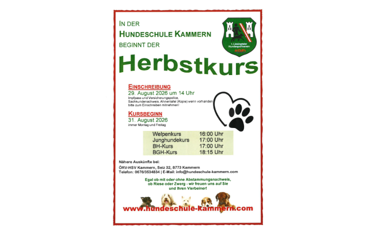 Hundeschule Kammern: Herbstkurs!