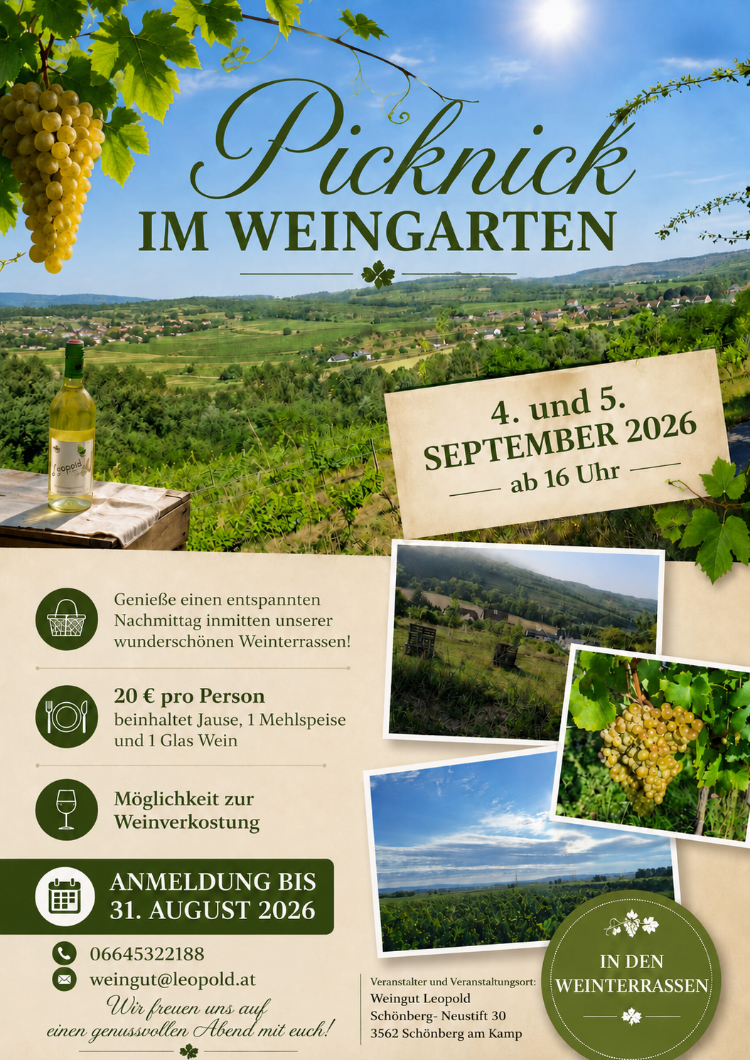 Picknick im Weingarten