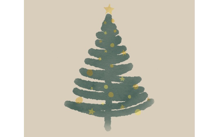 Baumspende für unseren Weihnachtsbaum gesucht!