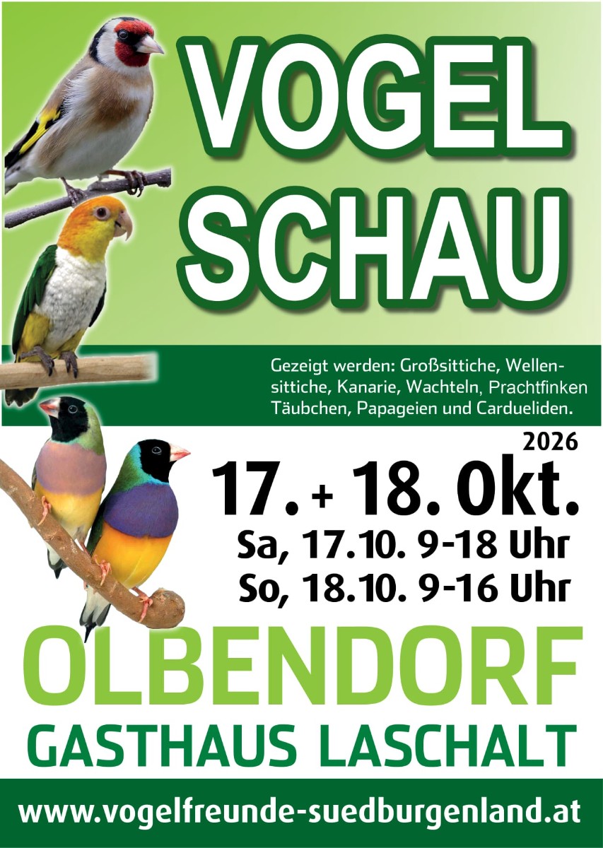 Vereinsschau 2026