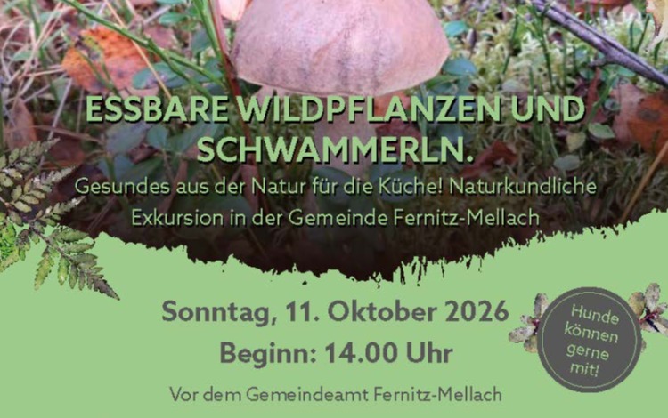 Naturkundliche Exkursion - Essbare Wildpflanzen und Schwammerl