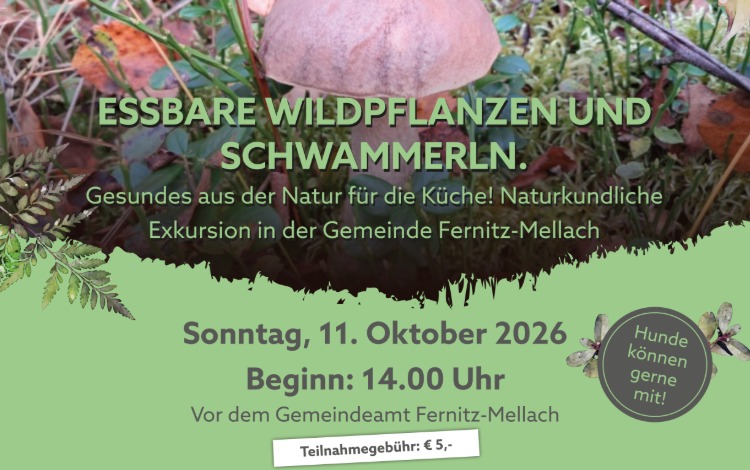 Naturkundliche Exkursion - Essbare Wildpflanzen und Schwammerl